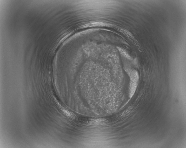 X0000051861225200507221848