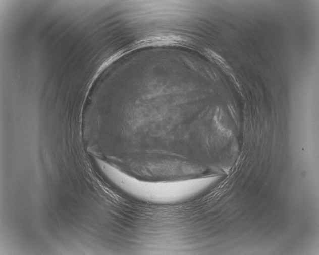 X0000051861226200507221848