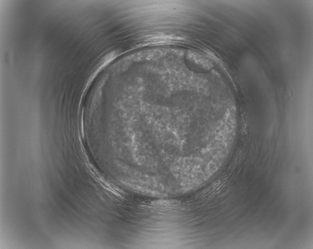 X0000051861227200507221848