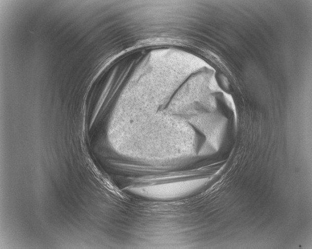 X0000051861228200507221848