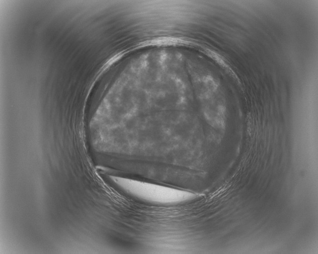 X0000051861229200507221848