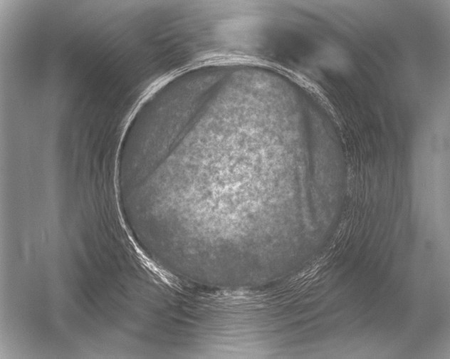 X0000051861231200507221848