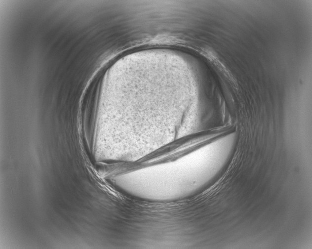 X0000051861232200507221848