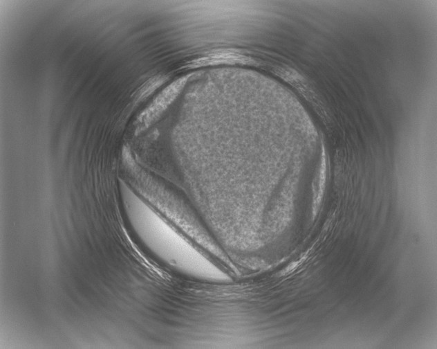 X0000051861233200507221848