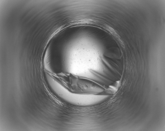 X0000051861234200507221848