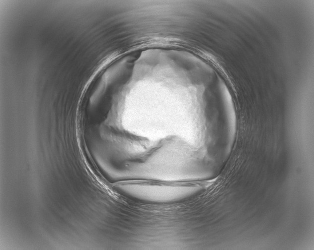 X0000051861235200507221848