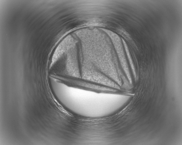 X0000051861236200507221848