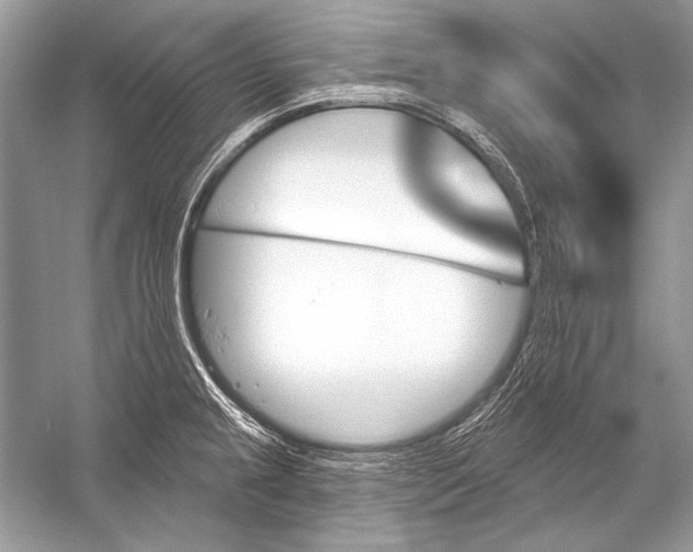 X0000051861237200507221848