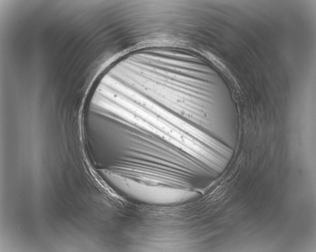 X0000051861238200507221848