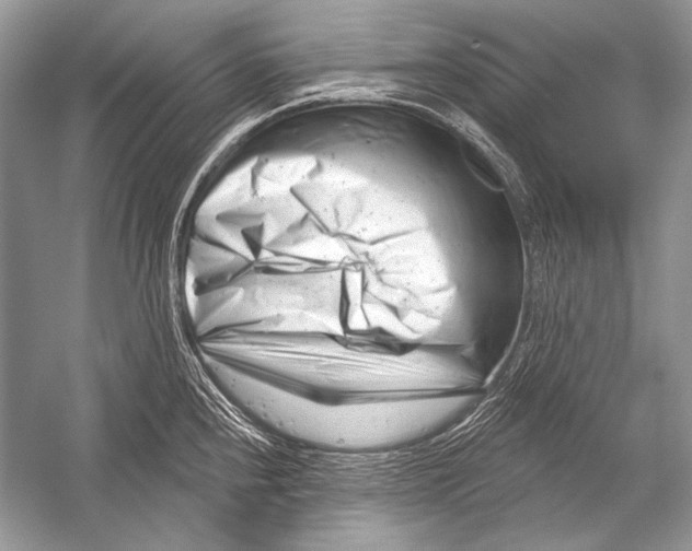 X0000051861240200507221848