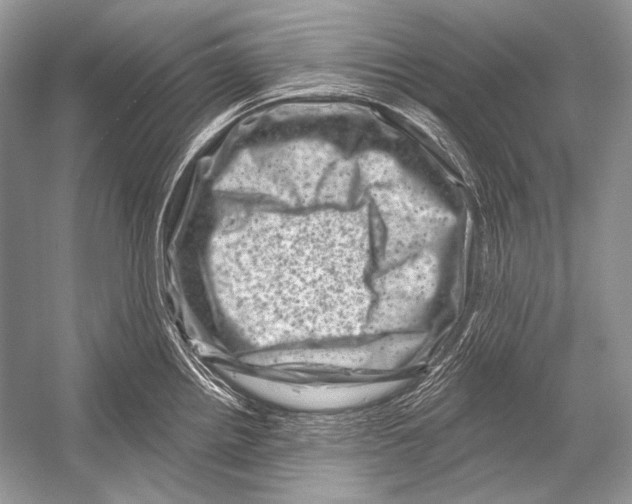 X0000051861242200507221848