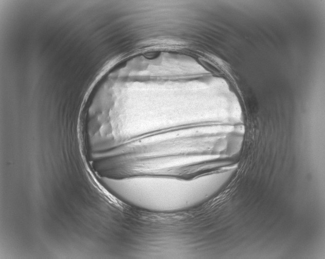 X0000051861243200507221848