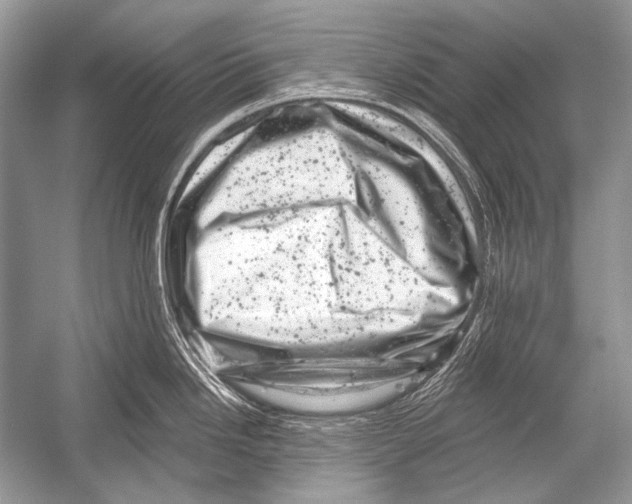 X0000051861246200507221848