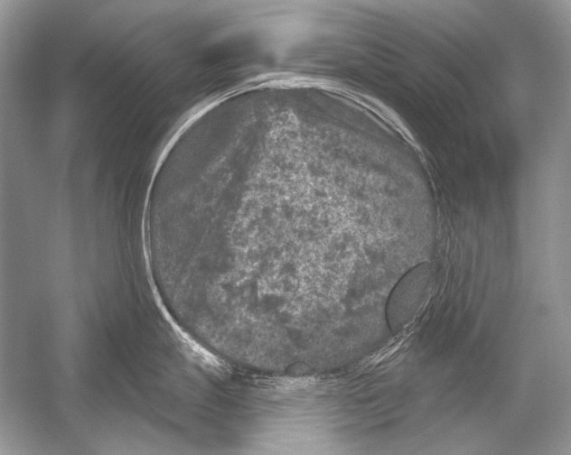 X0000051861247200507221848