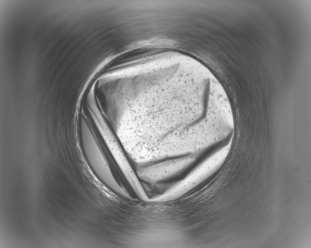 X0000051861248200507221848