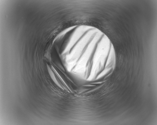 X0000051861250200507221848