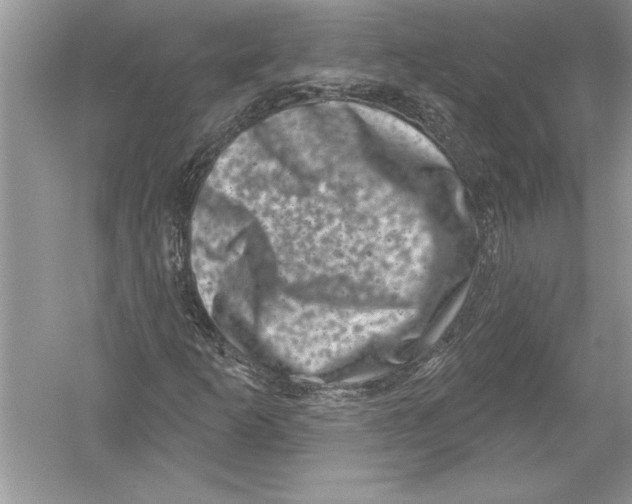 X0000051861253200507221848