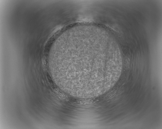 X0000051861254200507221848