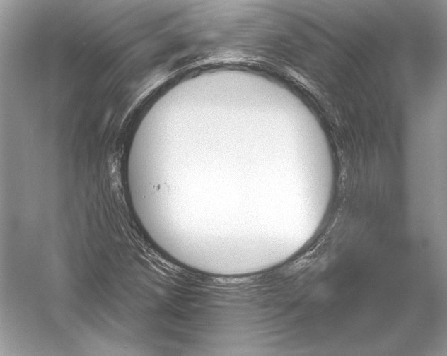 X0000051861258200507221848