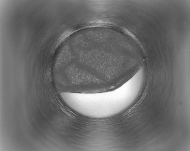 X0000051861259200507221848