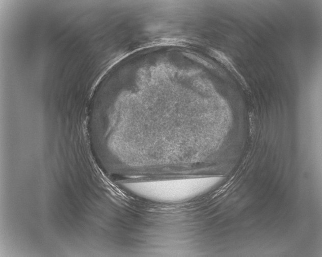 X0000051861260200507221847