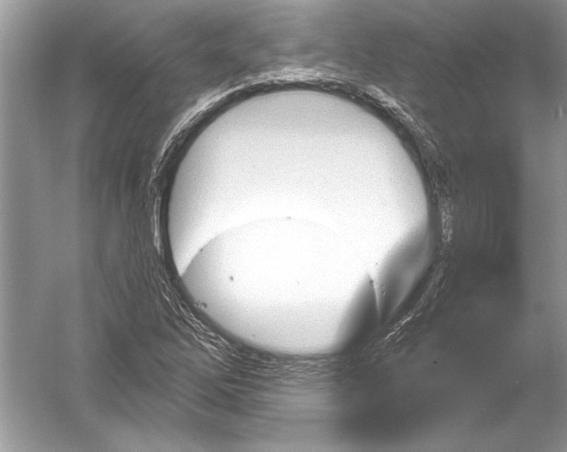 X0000051861262200507221847