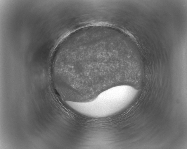 X0000051861263200507221847