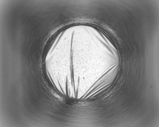 X0000051861264200507221847