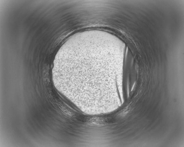 X0000051861265200507221847