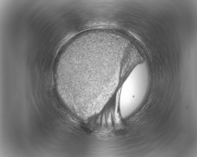 X0000051861267200507221847