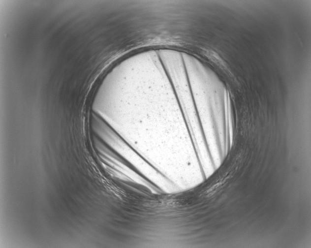 X0000051861268200507221847