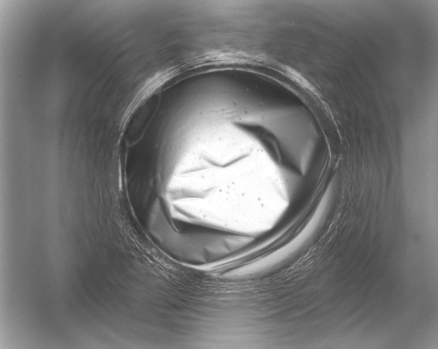 X0000051861269200507221847