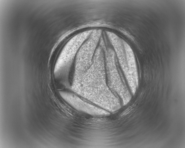 X0000051861270200507221847