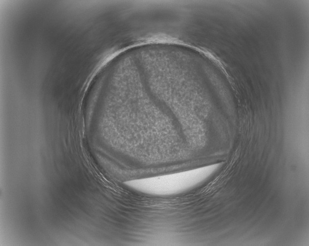 X0000051861271200507221847