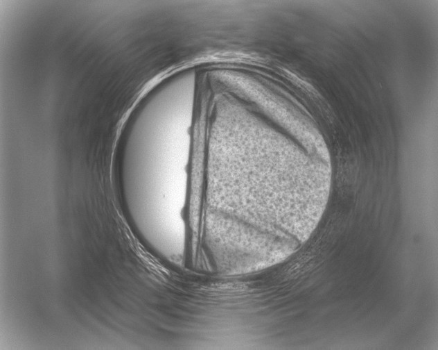 X0000051861272200507221847