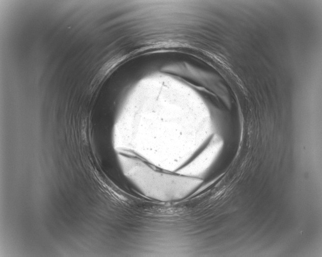 X0000051861273200507221847