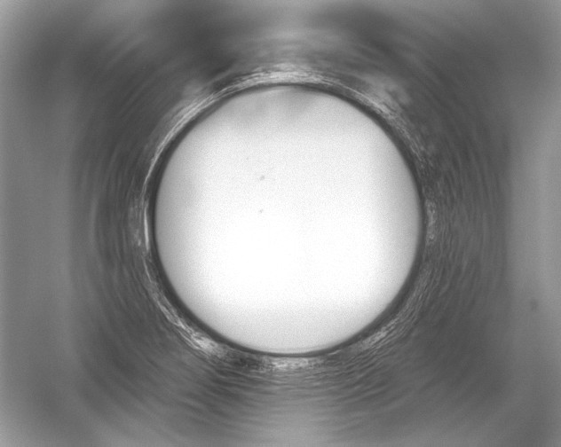 X0000051861274200507221847