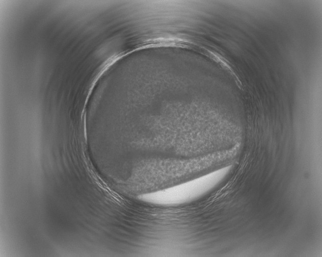 X0000051861275200507221847