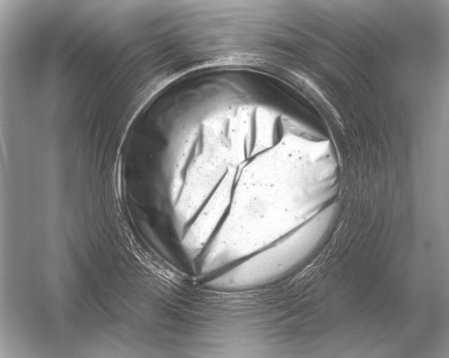 X0000051861276200507221847