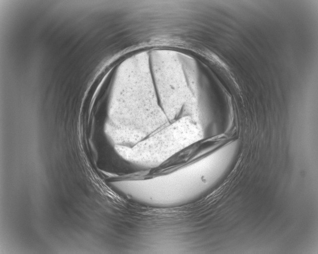 X0000051861280200507221847