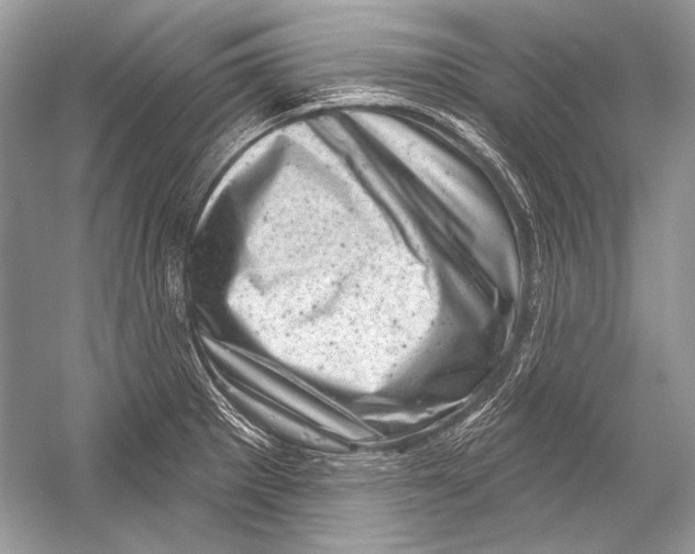 X0000051861281200507221847