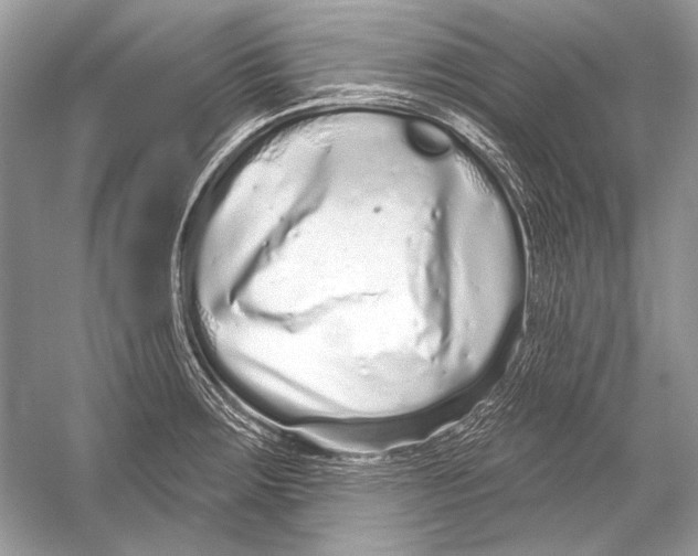 X0000051861283200507221847