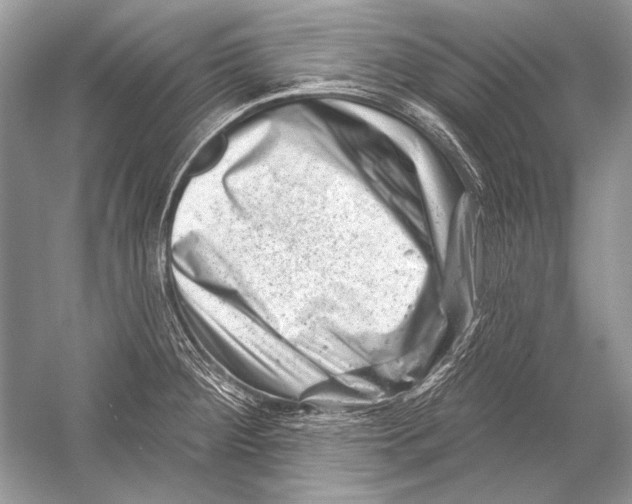 X0000051861284200507221847