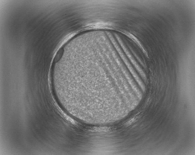 X0000051861285200507221847