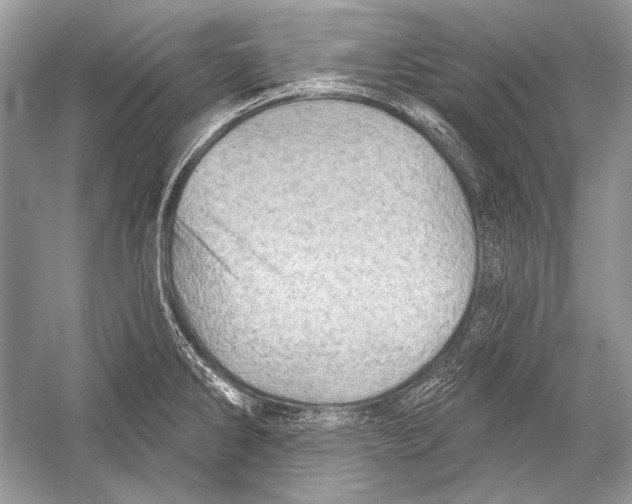 X0000051861286200507221847