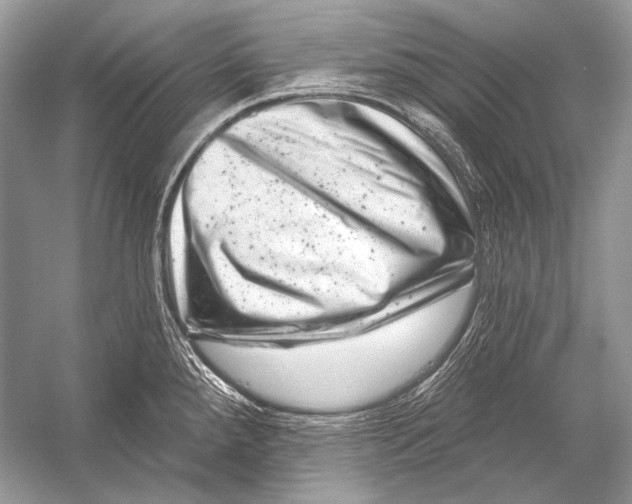 X0000051861288200507221847