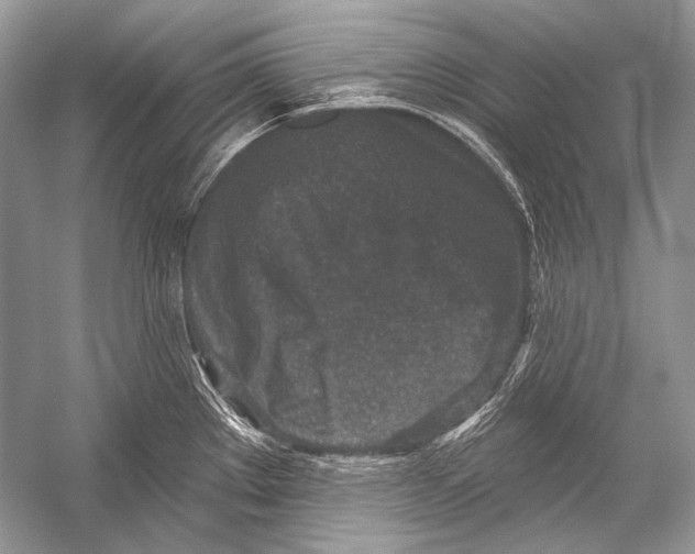 X0000051861289200507221847