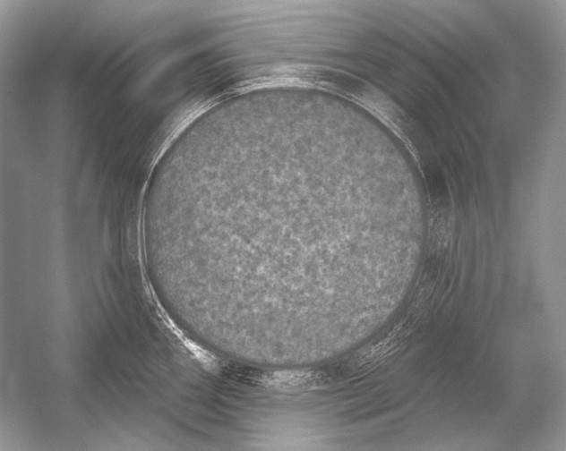 X0000051861290200507221847