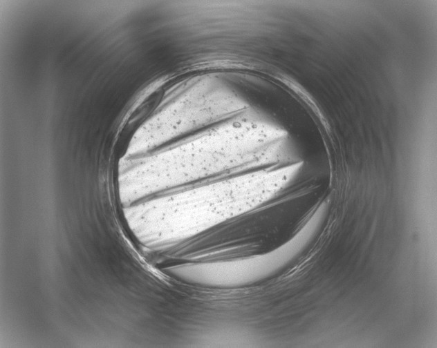 X0000051861293200507221847