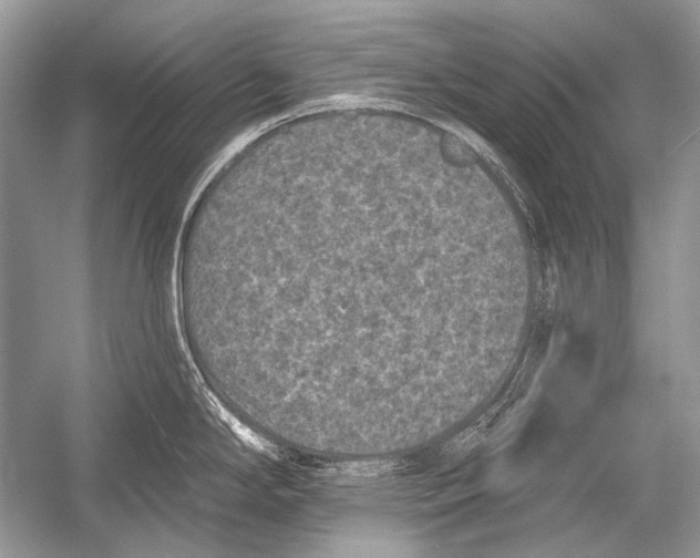 X0000051861294200507221847